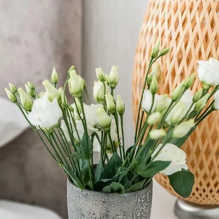 Stara Stocznia Appartement