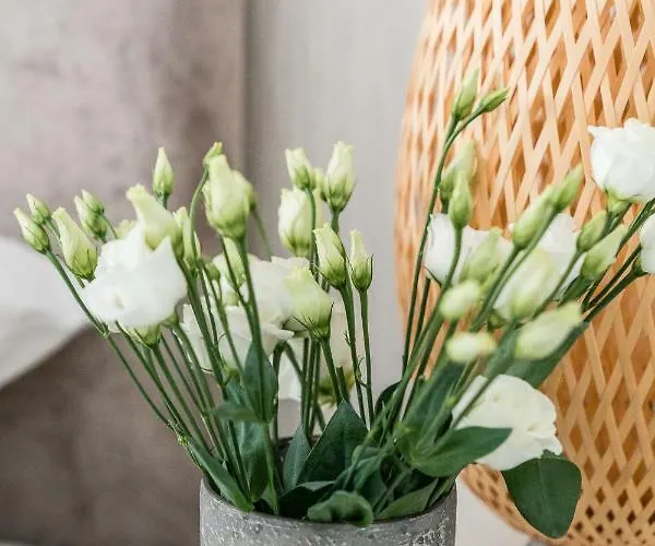 Stara Stocznia Apartman